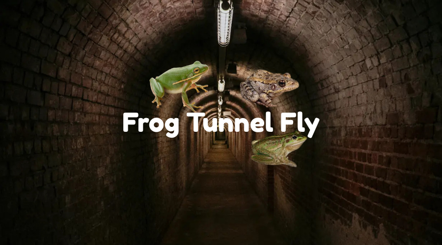 Frog Tunnel Fly